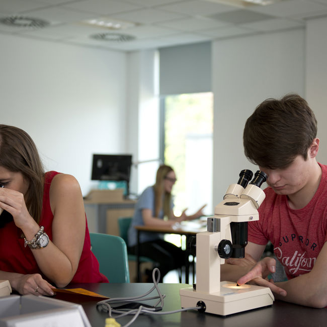 Two students using microscopes