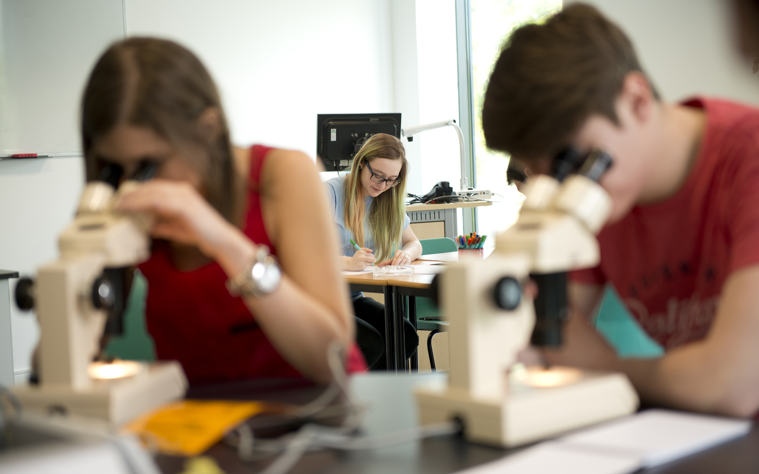 Students using microscopes in lab 