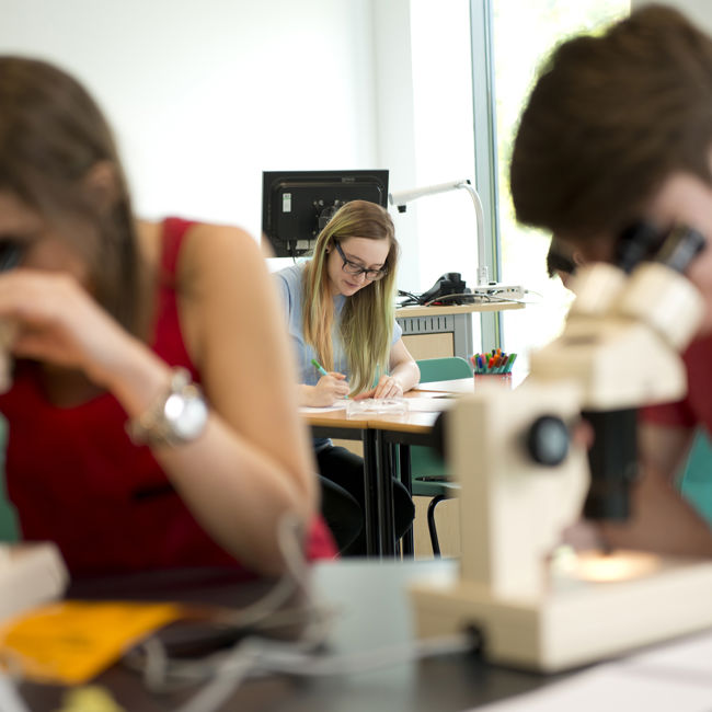 Students using microscopes in lab