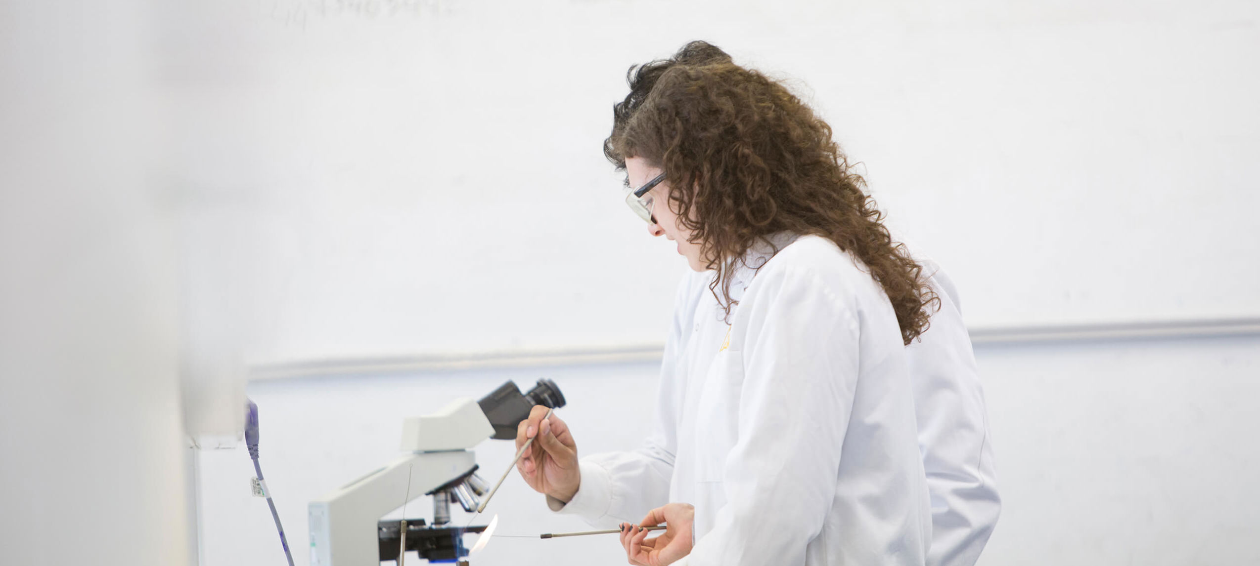 Biomedical & Environmental Science Research Area Students | UWS | University of the West of Scotland