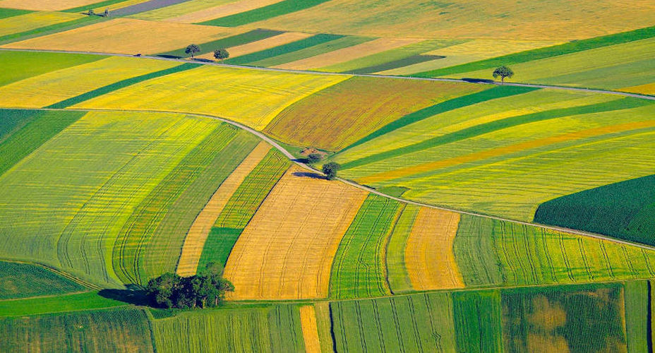 Spectral imaging to assist crop yield