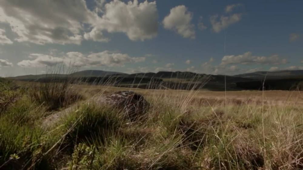 CMA Video - Matt Baker, Portrait of an Artist