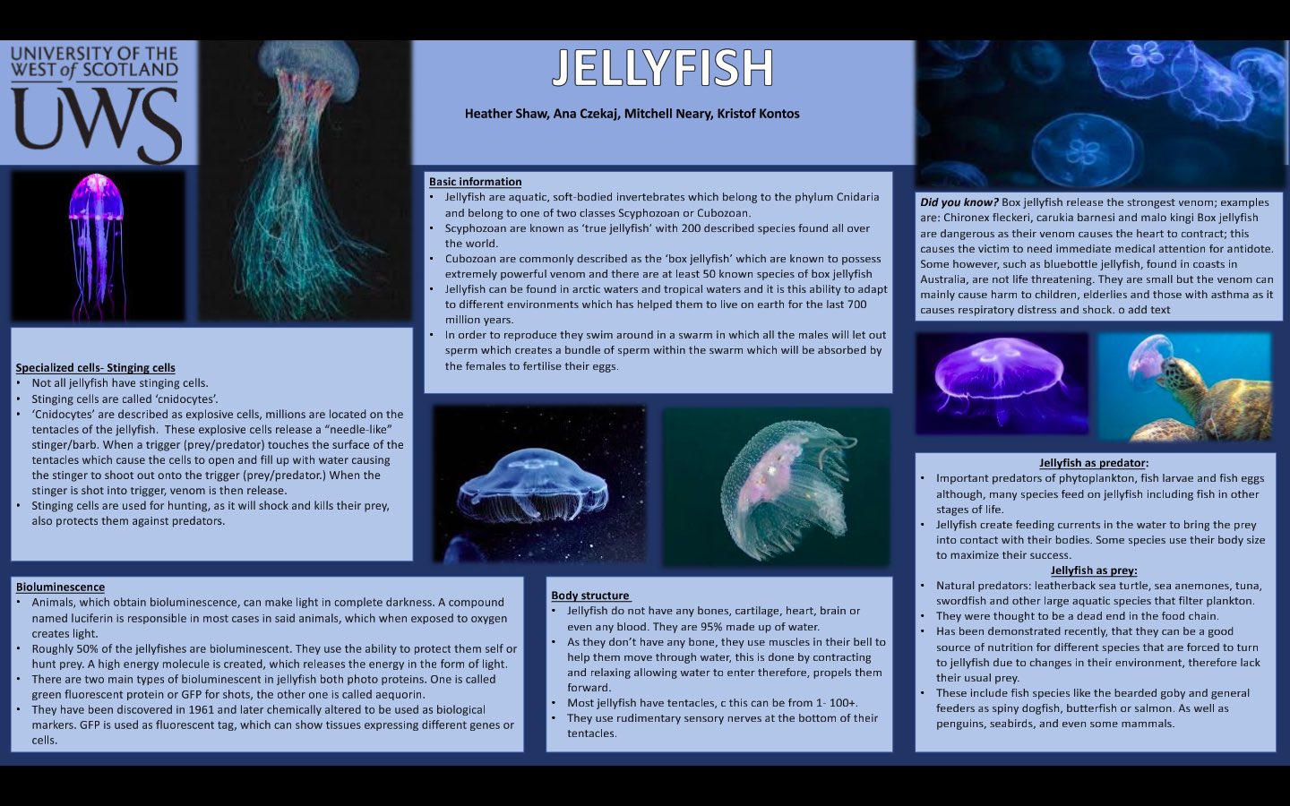 poster on Jellyfish 
