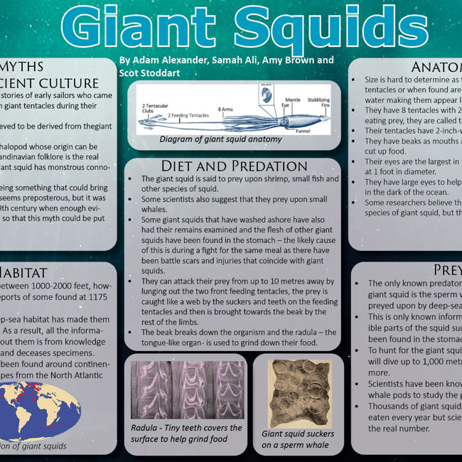 poster on Giant Squid