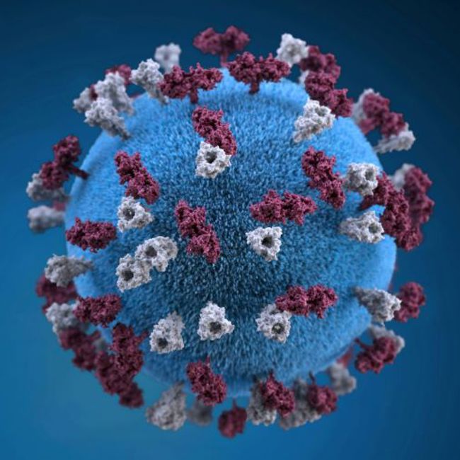 Free, Unsplash image of measles virus by Centers for Disease Control and Prevention.